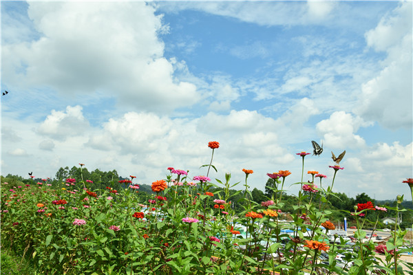 Bevictor伟德官网-韦德(中国)体育-伟大始于1946
