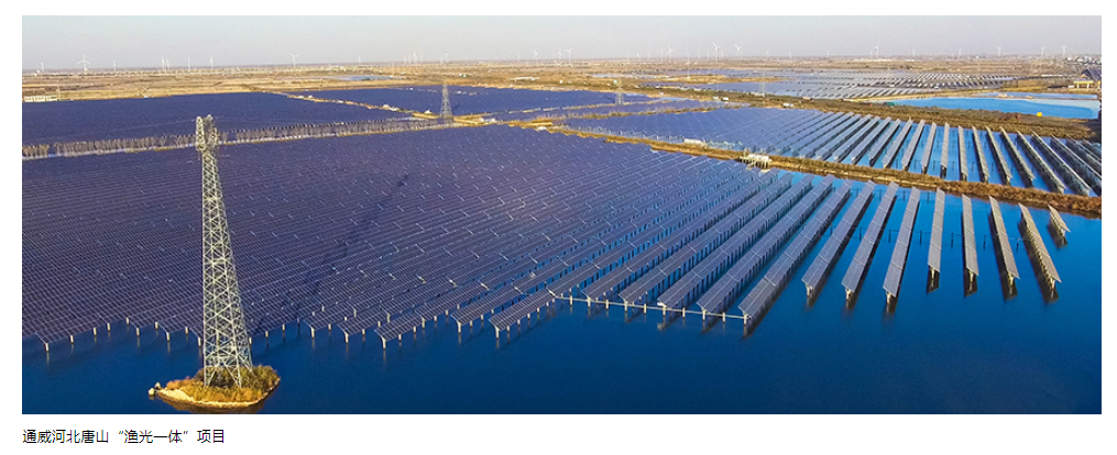 Bevictor伟德官网-韦德(中国)体育-伟大始于1946