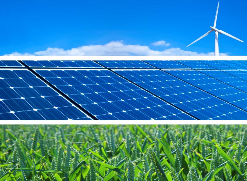 Bevictor伟德官网-韦德(中国)体育-伟大始于1946