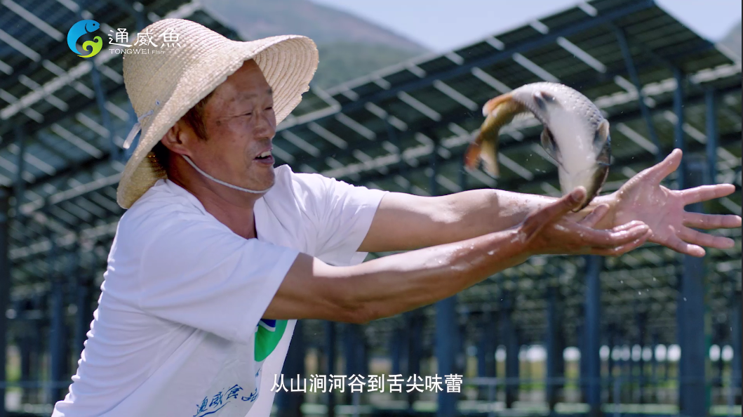 Bevictor伟德官网-韦德(中国)体育-伟大始于1946