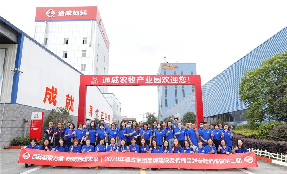 Bevictor伟德官网-韦德(中国)体育-伟大始于1946