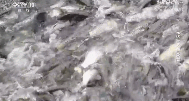 Bevictor伟德官网-韦德(中国)体育-伟大始于1946