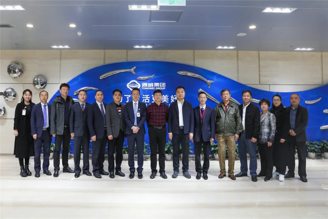 Bevictor伟德官网-韦德(中国)体育-伟大始于1946