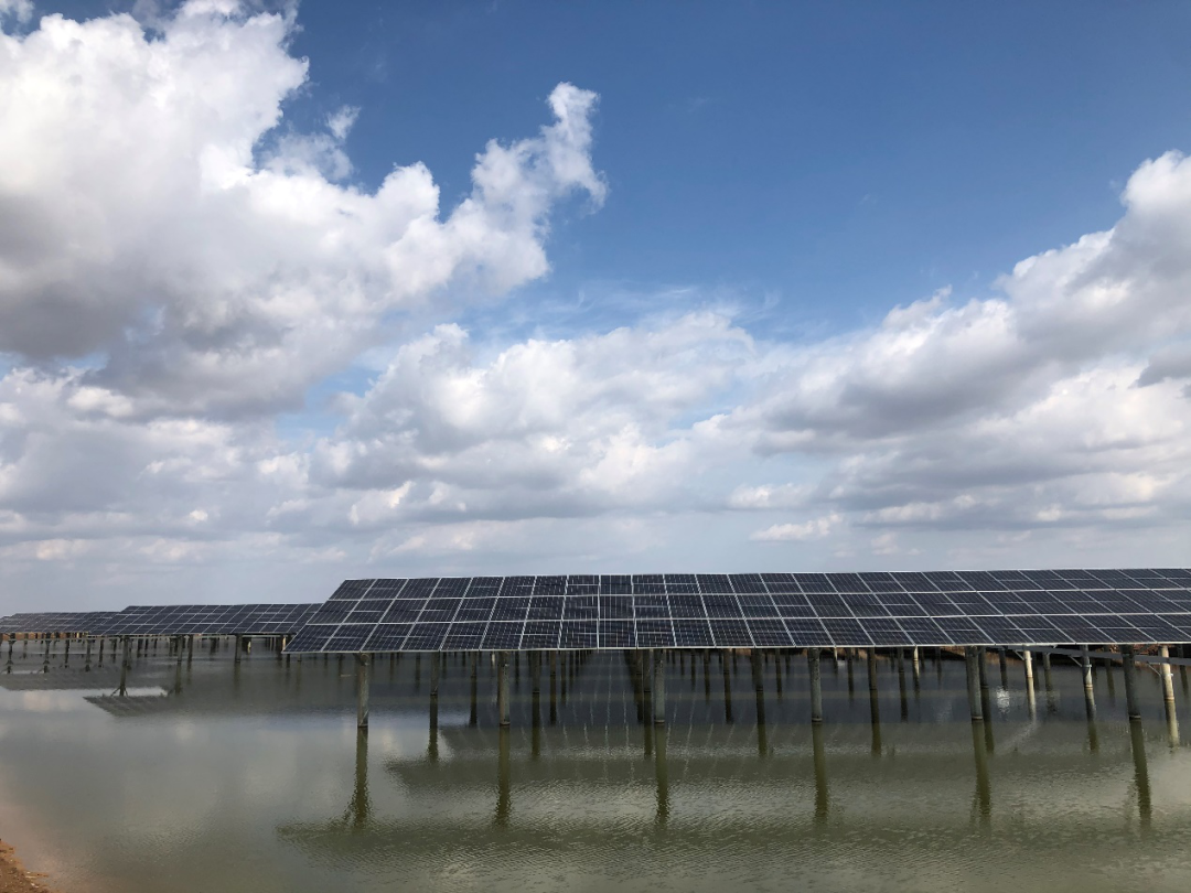 Bevictor伟德官网-韦德(中国)体育-伟大始于1946