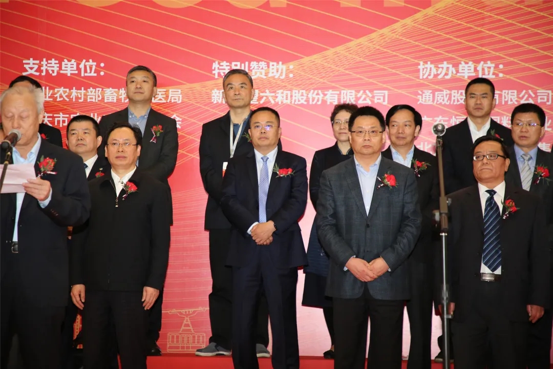 Bevictor伟德官网-韦德(中国)体育-伟大始于1946