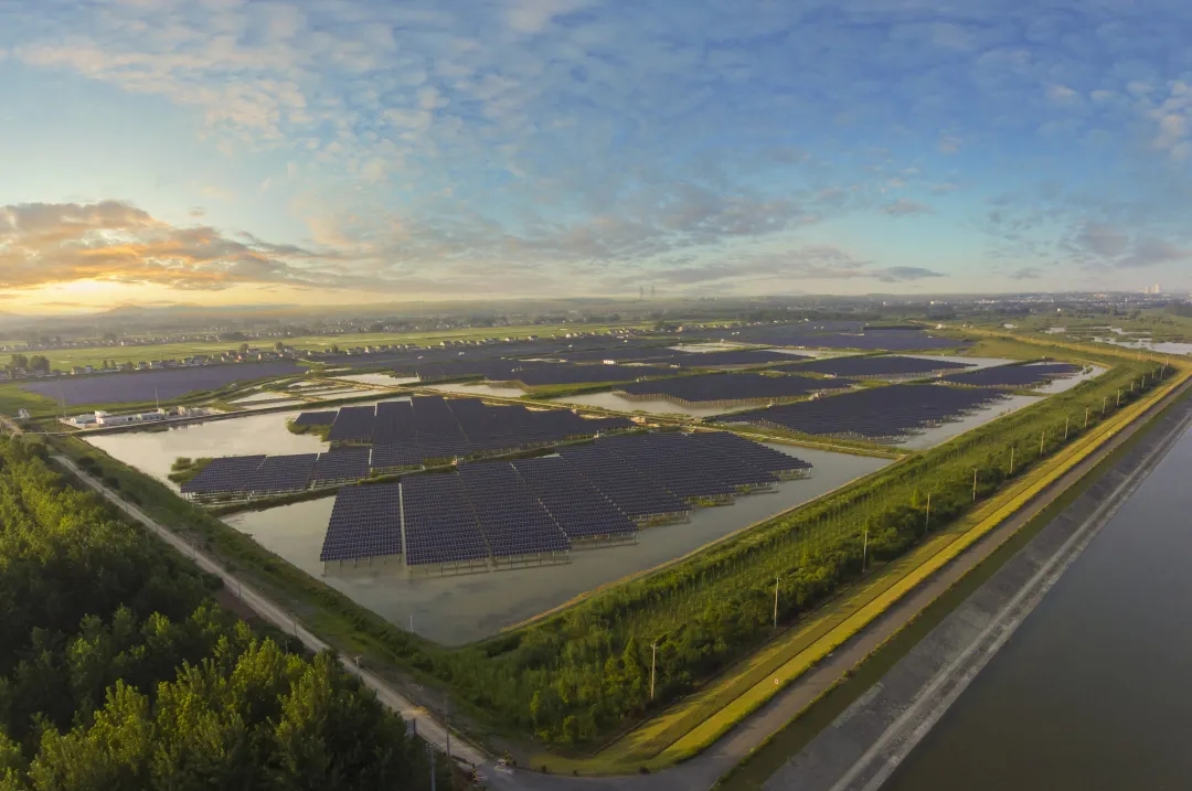 Bevictor伟德官网-韦德(中国)体育-伟大始于1946