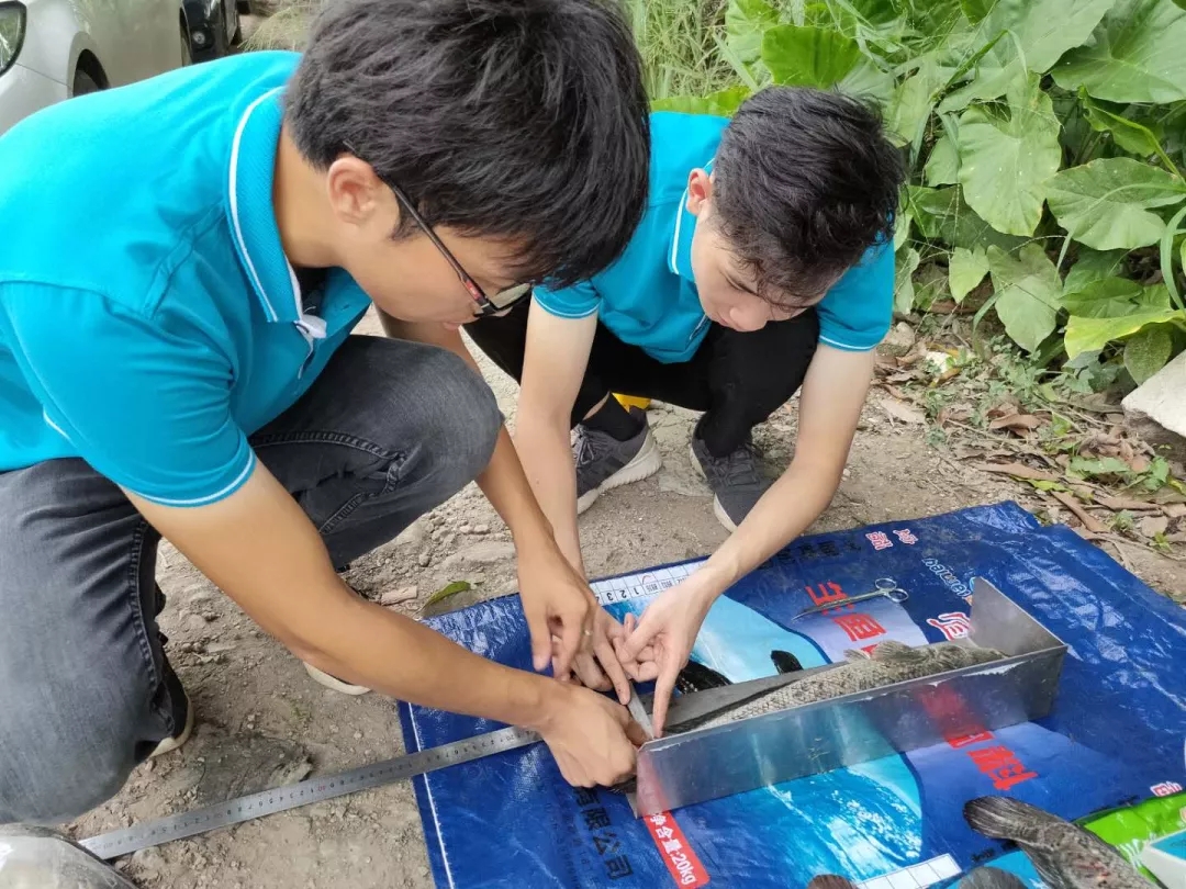 Bevictor伟德官网-韦德(中国)体育-伟大始于1946