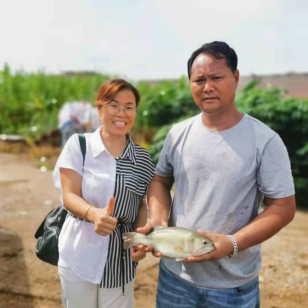 Bevictor伟德官网-韦德(中国)体育-伟大始于1946