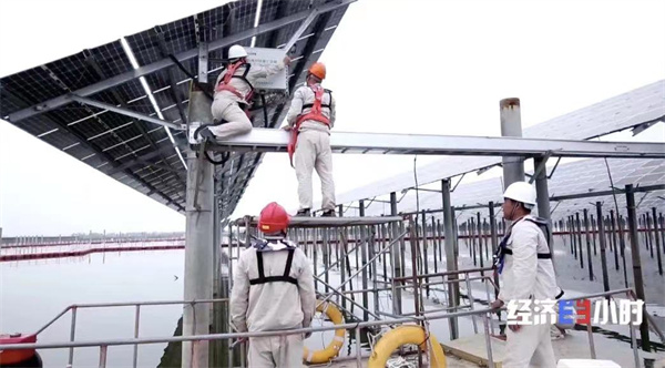 Bevictor伟德官网-韦德(中国)体育-伟大始于1946