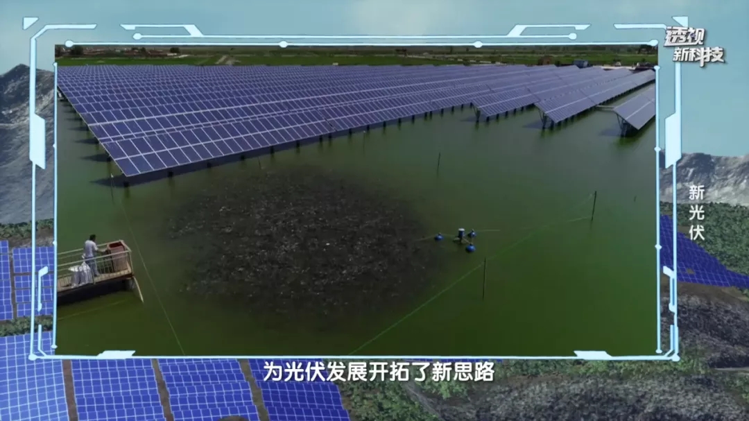 Bevictor伟德官网-韦德(中国)体育-伟大始于1946