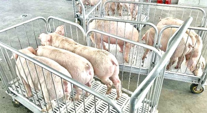 Bevictor伟德官网-韦德(中国)体育-伟大始于1946