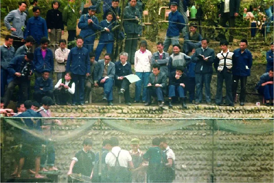 Bevictor伟德官网-韦德(中国)体育-伟大始于1946