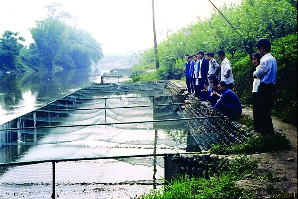 Bevictor伟德官网-韦德(中国)体育-伟大始于1946