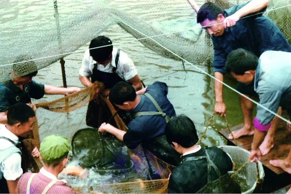 Bevictor伟德官网-韦德(中国)体育-伟大始于1946