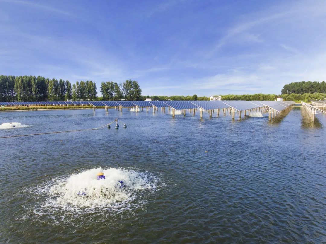 Bevictor伟德官网-韦德(中国)体育-伟大始于1946