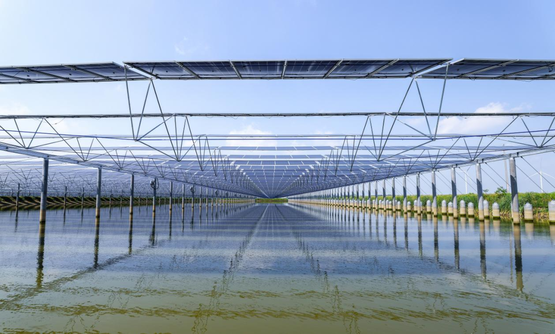 Bevictor伟德官网-韦德(中国)体育-伟大始于1946