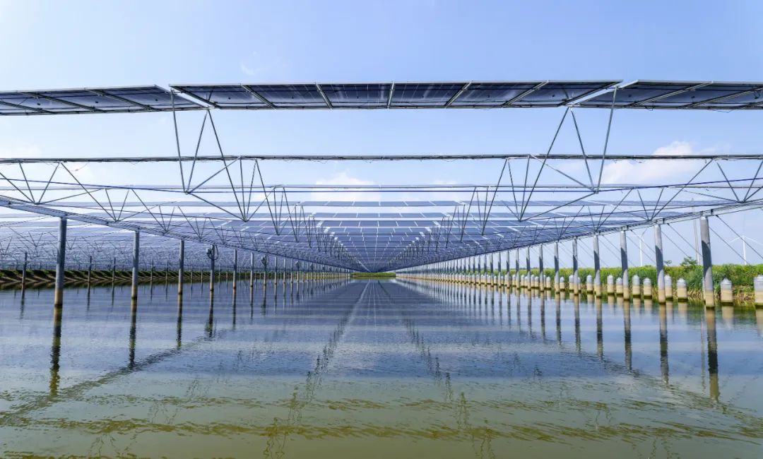 Bevictor伟德官网-韦德(中国)体育-伟大始于1946