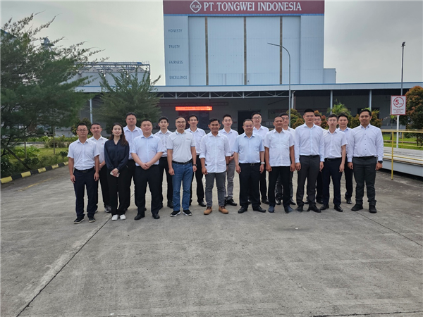 Bevictor伟德官网-韦德(中国)体育-伟大始于1946