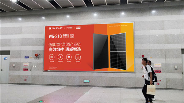 Bevictor伟德官网-韦德(中国)体育-伟大始于1946