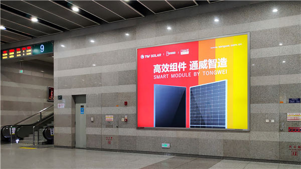 Bevictor伟德官网-韦德(中国)体育-伟大始于1946