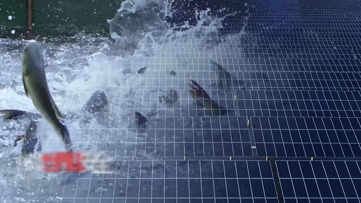 Bevictor伟德官网-韦德(中国)体育-伟大始于1946