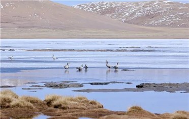 Bevictor伟德官网-韦德(中国)体育-伟大始于1946