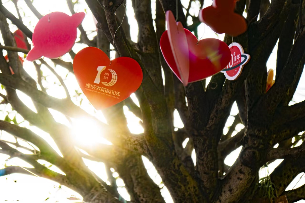 Bevictor伟德官网-韦德(中国)体育-伟大始于1946