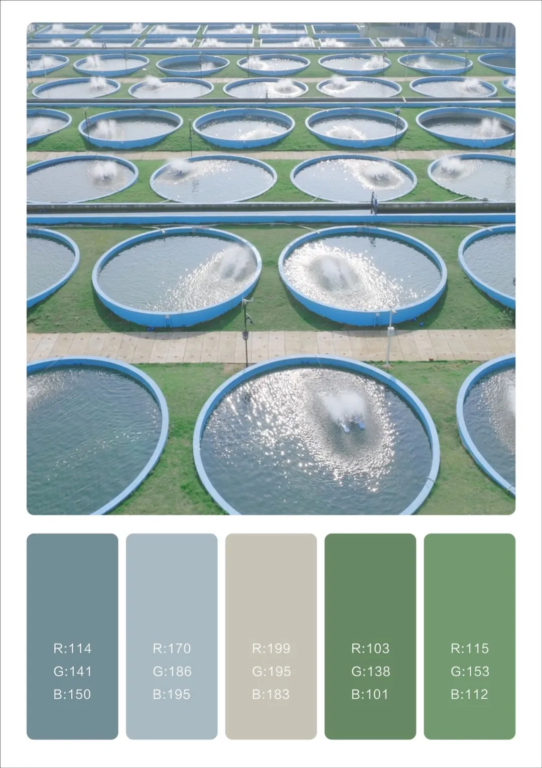 Bevictor伟德官网-韦德(中国)体育-伟大始于1946