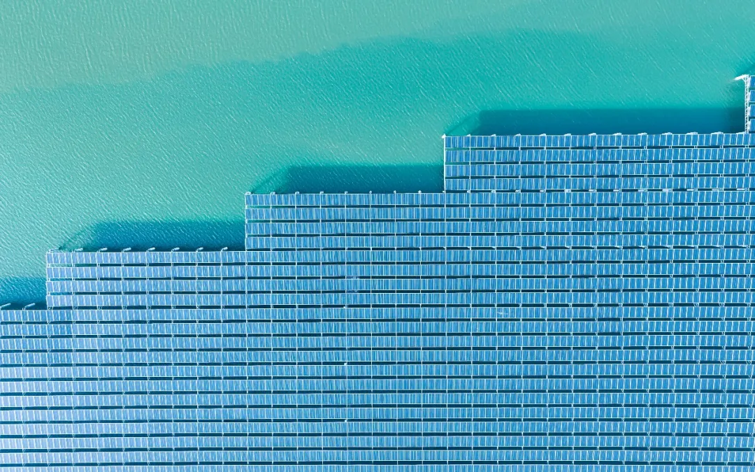 Bevictor伟德官网-韦德(中国)体育-伟大始于1946