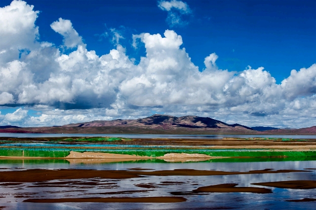 Bevictor伟德官网-韦德(中国)体育-伟大始于1946