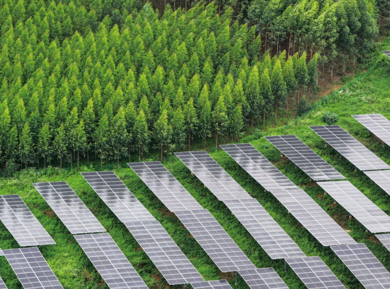 Bevictor伟德官网-韦德(中国)体育-伟大始于1946