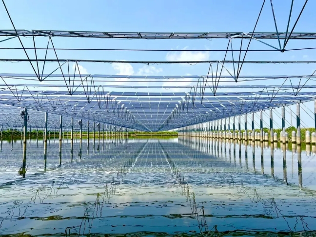 Bevictor伟德官网-韦德(中国)体育-伟大始于1946