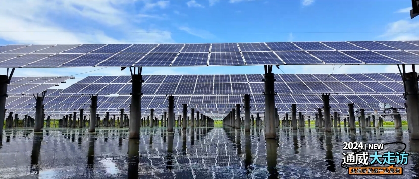 Bevictor伟德官网-韦德(中国)体育-伟大始于1946