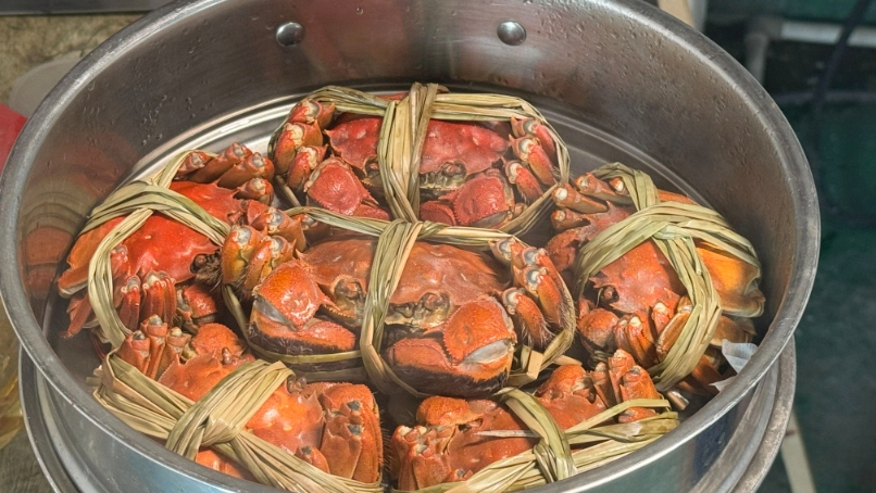 Bevictor伟德官网-韦德(中国)体育-伟大始于1946