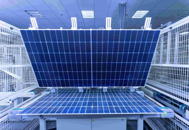 Bevictor伟德官网-韦德(中国)体育-伟大始于1946