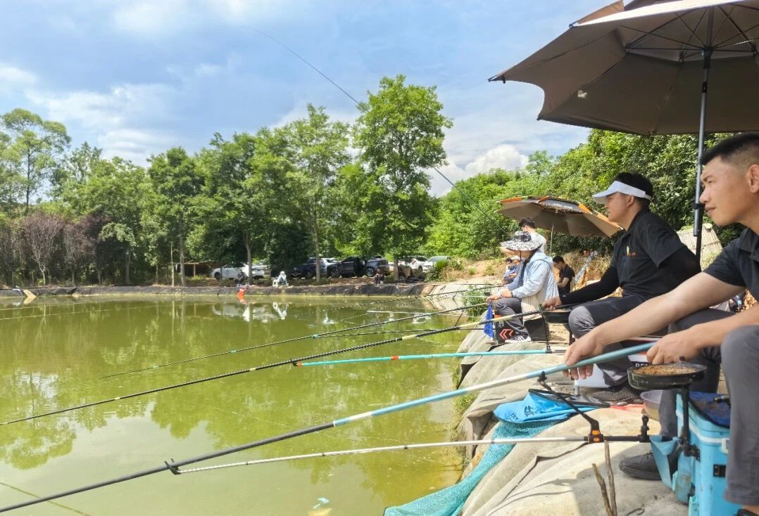 Bevictor伟德官网-韦德(中国)体育-伟大始于1946