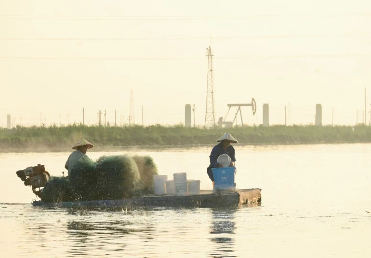 Bevictor伟德官网-韦德(中国)体育-伟大始于1946