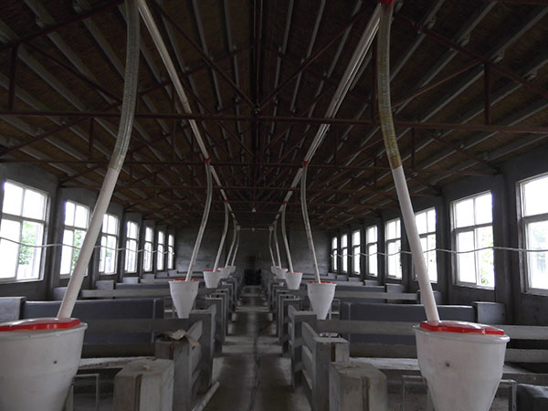 肥猪舍自动饲喂系统