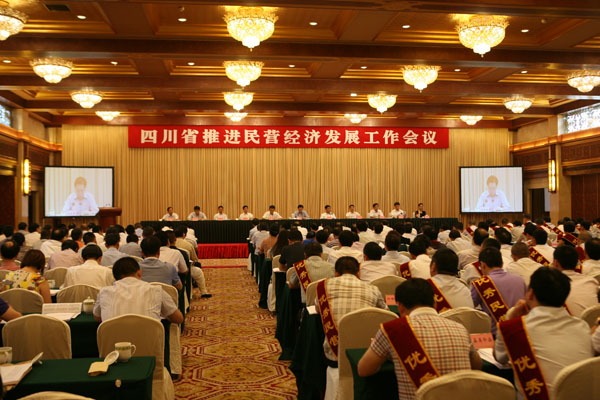 四川省推进民营经济生长事情聚会现场