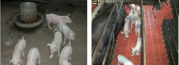 Bevictor伟德官网-韦德(中国)体育-伟大始于1946