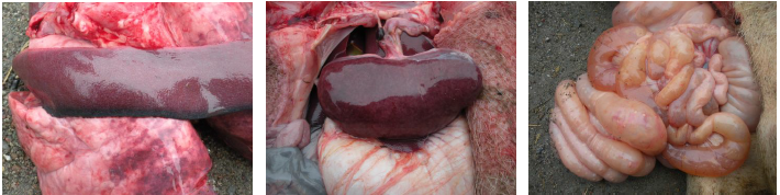 Bevictor伟德官网-韦德(中国)体育-伟大始于1946