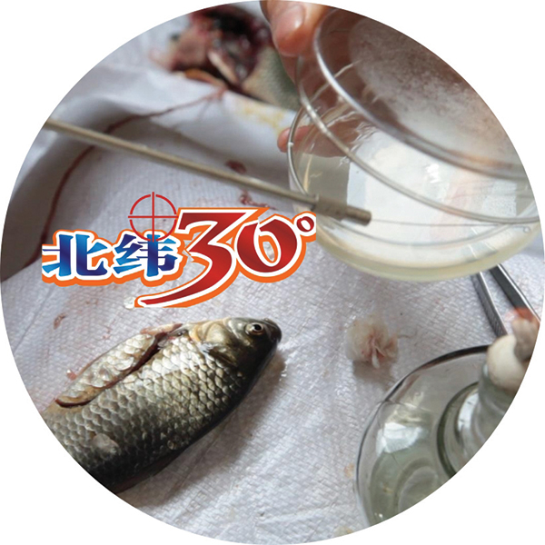 Bevictor伟德官网-韦德(中国)体育-伟大始于1946