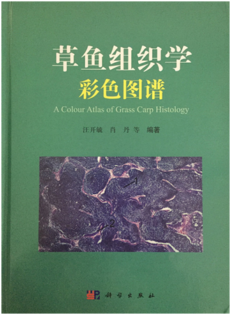 Bevictor伟德官网-韦德(中国)体育-伟大始于1946