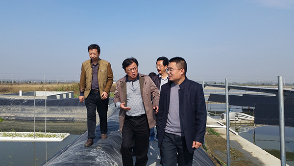 Bevictor伟德官网-韦德(中国)体育-伟大始于1946