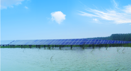 Bevictor伟德官网-韦德(中国)体育-伟大始于1946