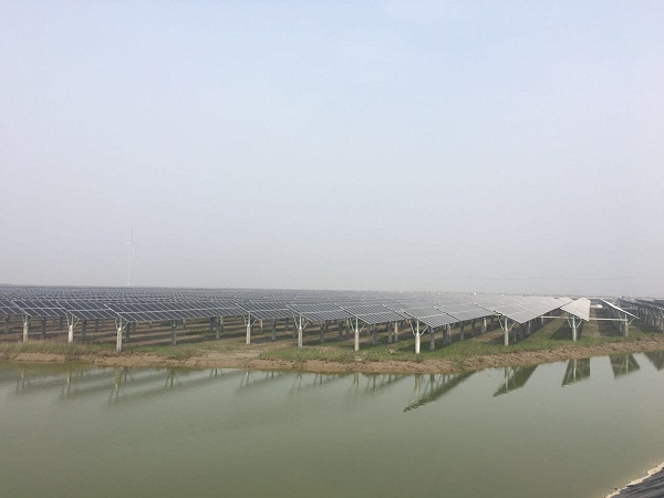 Bevictor伟德官网-韦德(中国)体育-伟大始于1946