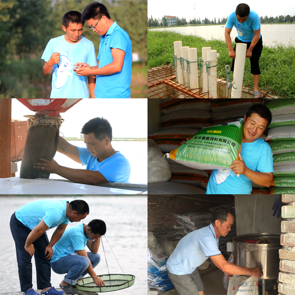 Bevictor伟德官网-韦德(中国)体育-伟大始于1946