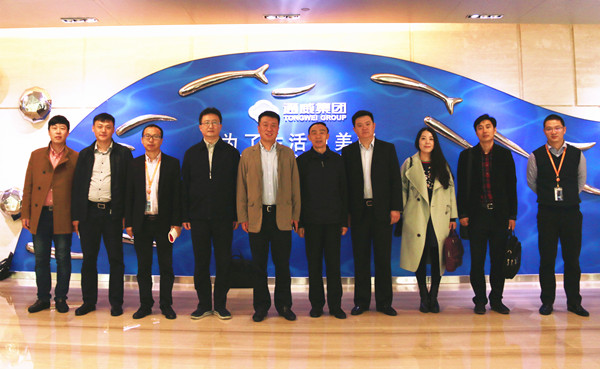 Bevictor伟德官网-韦德(中国)体育-伟大始于1946