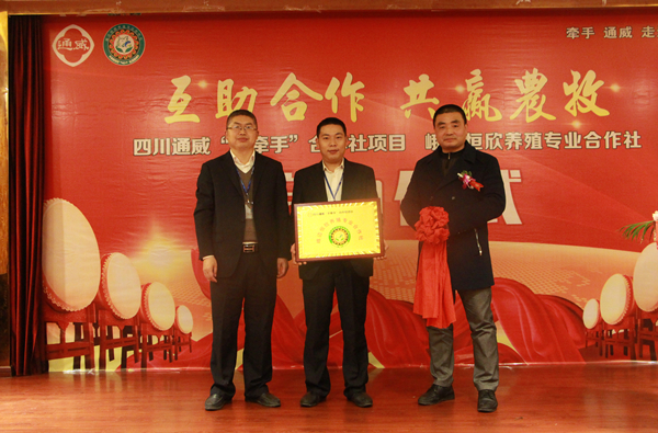 Bevictor伟德官网-韦德(中国)体育-伟大始于1946