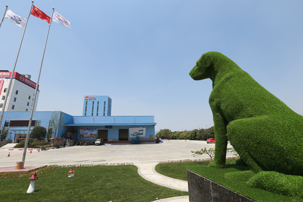 Bevictor伟德官网-韦德(中国)体育-伟大始于1946